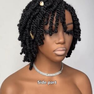 Afro kinky human hair full Hd lace wig