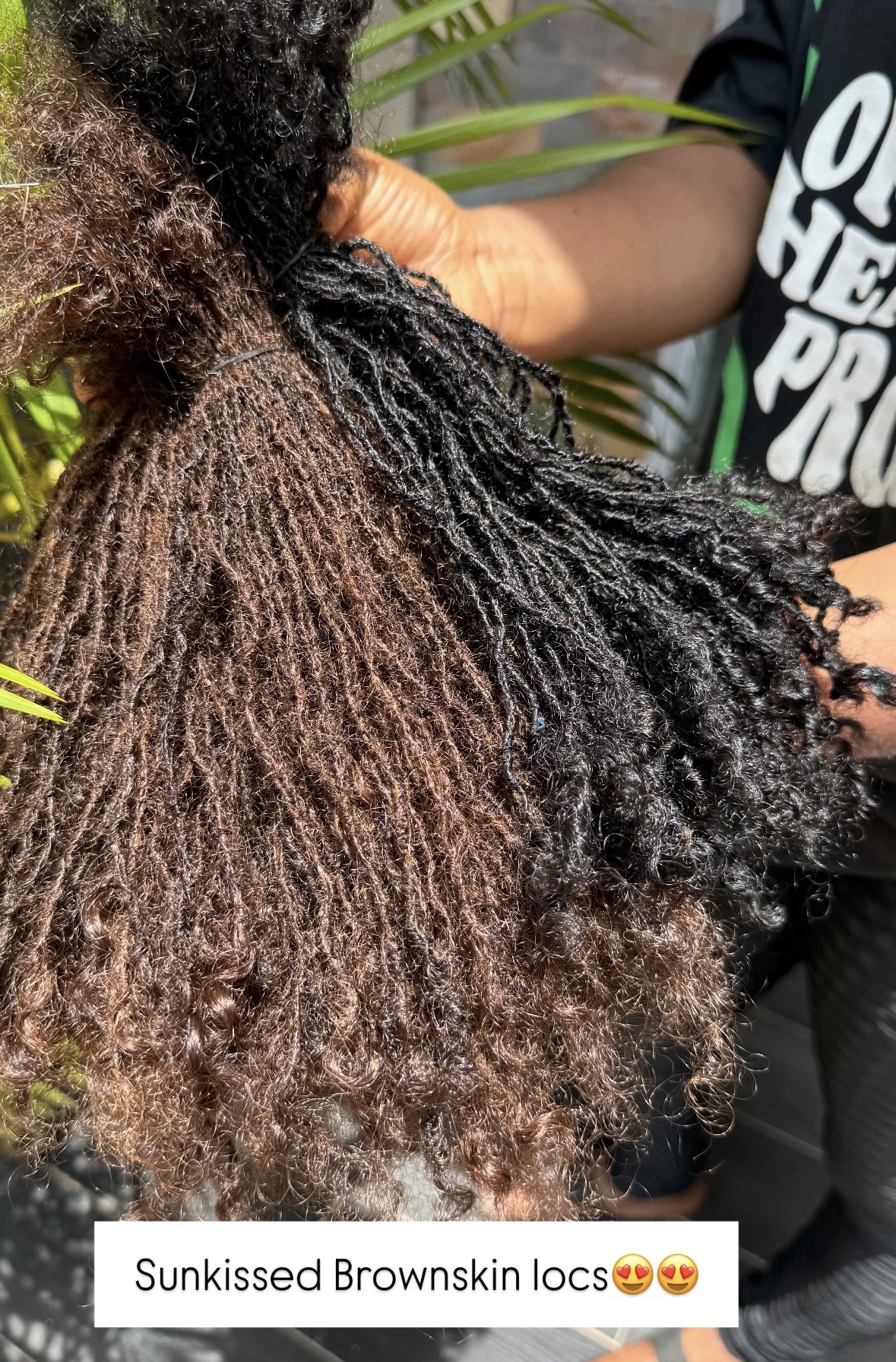 Sister Locs Human Hair Extensions - Image 10