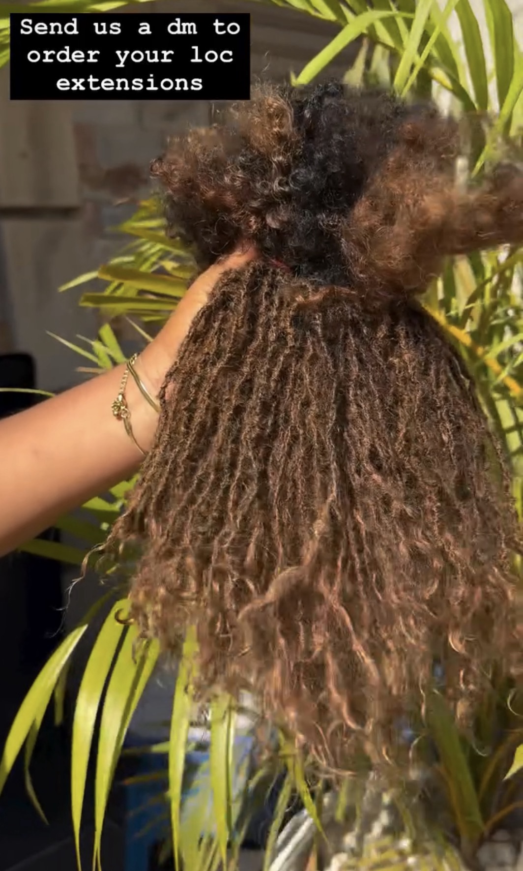 Sister Locs Human Hair Extensions - Image 11