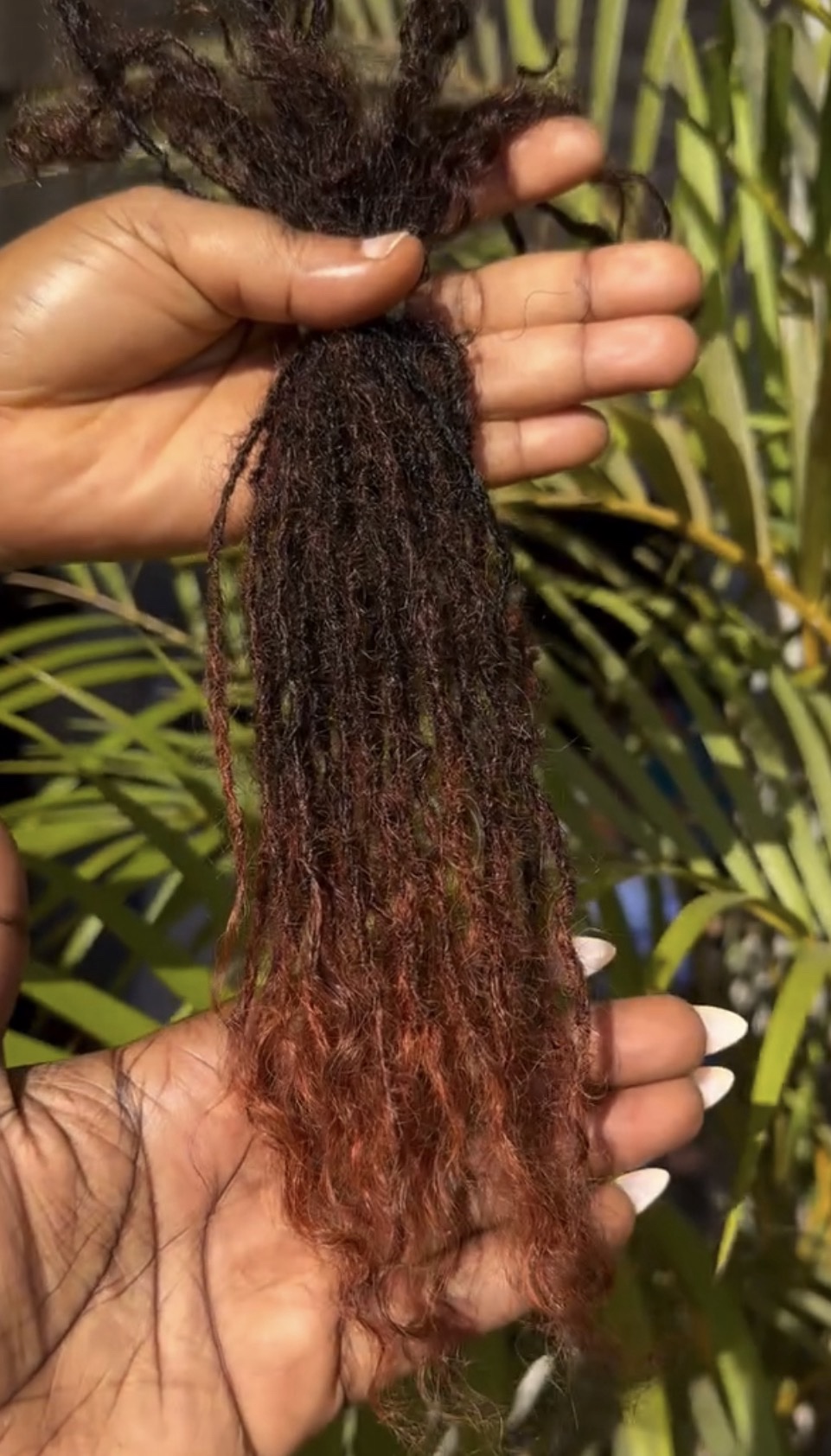 Sister Locs Human Hair Extensions - Image 9