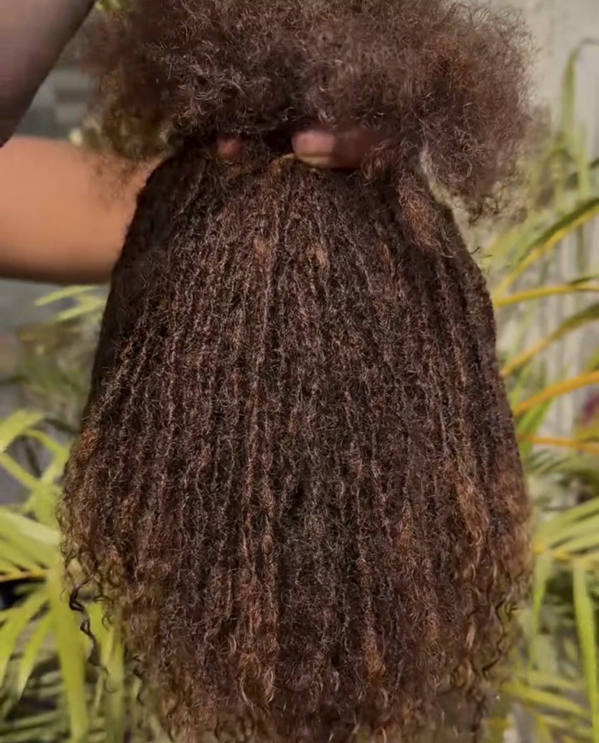 Sister Locs Human Hair Extensions - Image 3