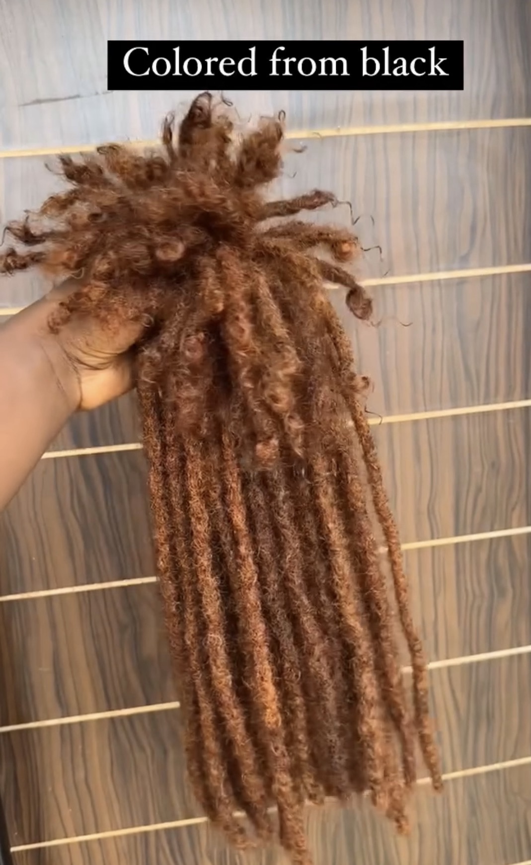 Sister Locs Human Hair Extensions - Image 7